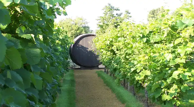 Vakantiehuis in Kötzschenbroda