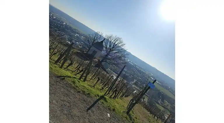 Vakantiehuis in Kötzschenbroda