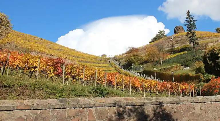 Vakantiehuis in Kötzschenbroda