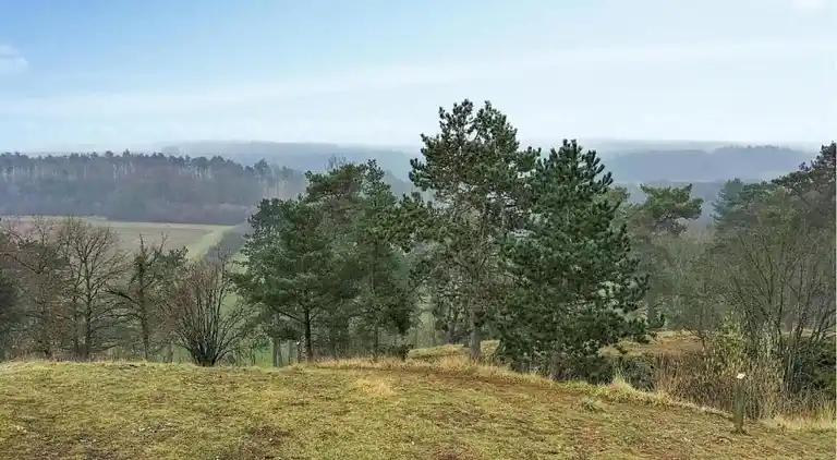 Holiday home in Treignes