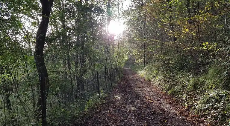 Holiday home in Treignes