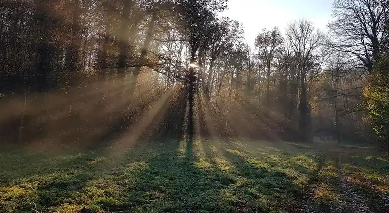 Holiday home in Treignes