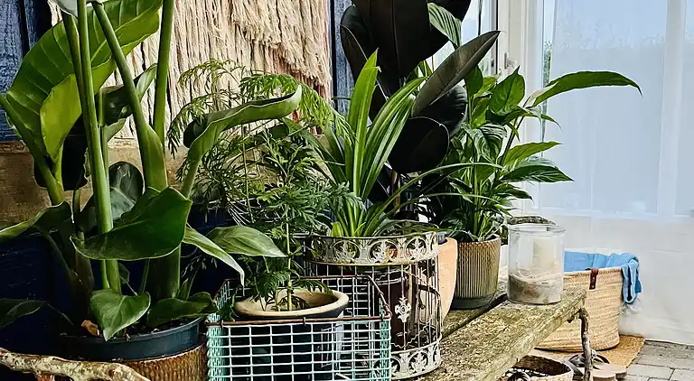 Klassisk sommerhus idyl 