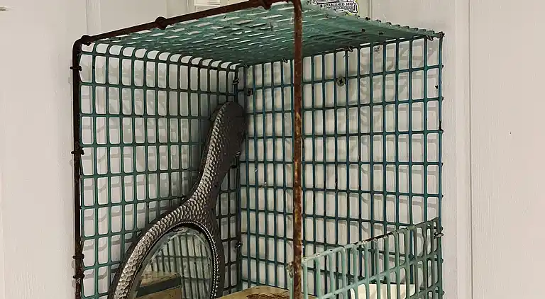 Klassisk sommerhus idyl 