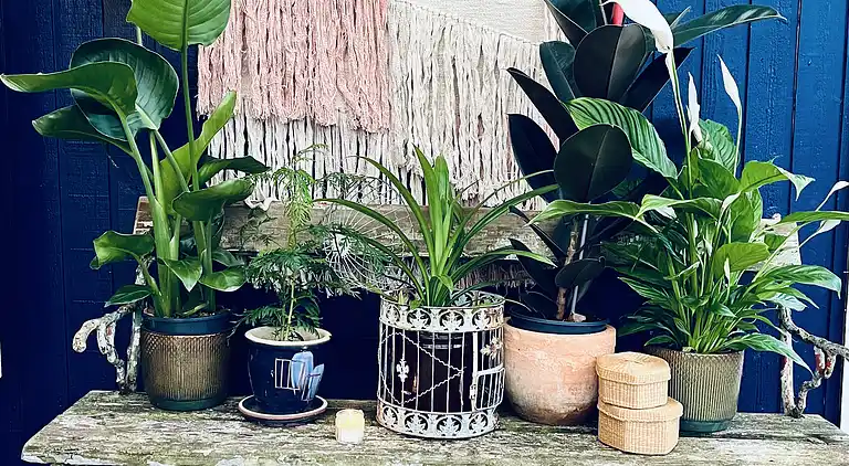 Klassisk sommerhus idyl 