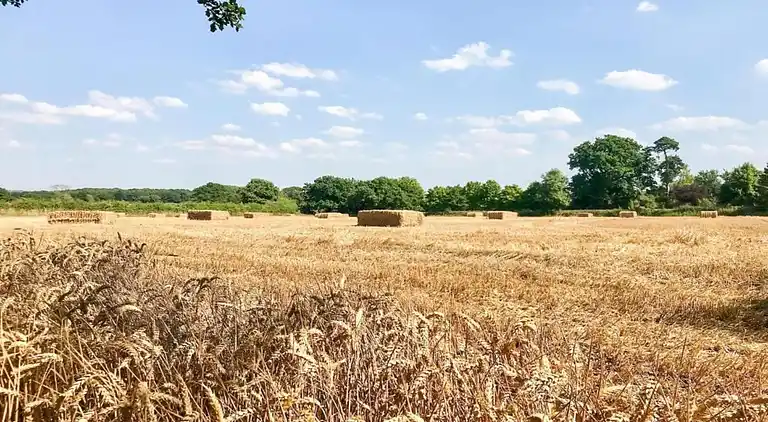 Cottage in Kirk Langley