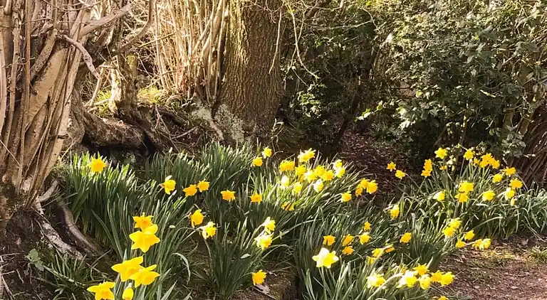 Cottage in Kirk Langley