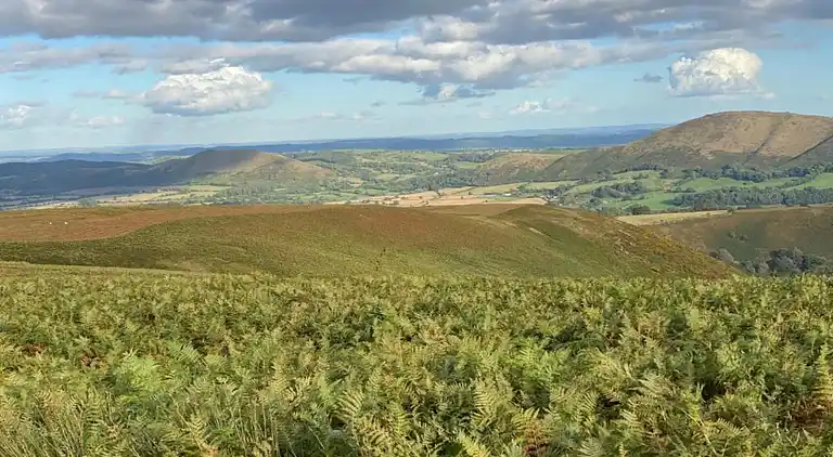 Cottage in Dorrington
