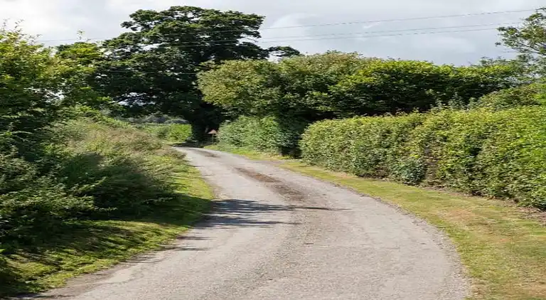 Cottage in Dorrington