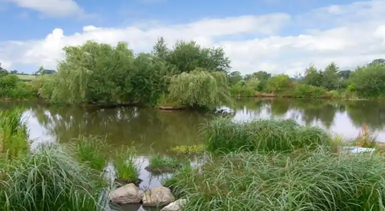 Cottage in Dorrington