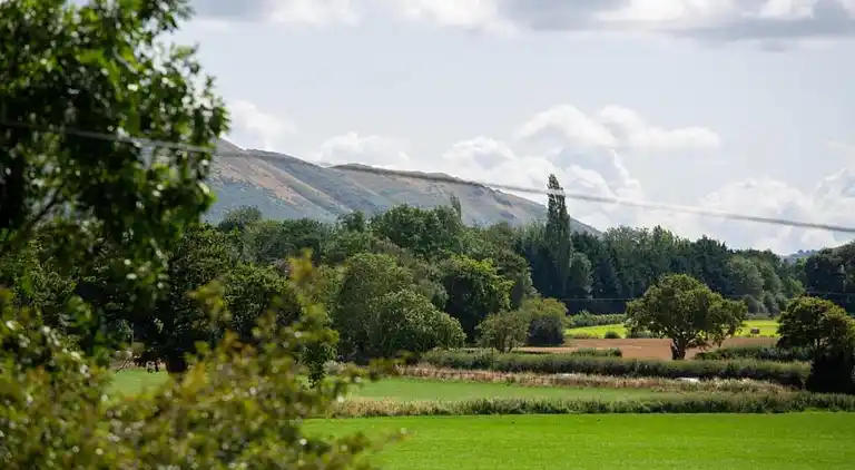 Cottage in Dorrington