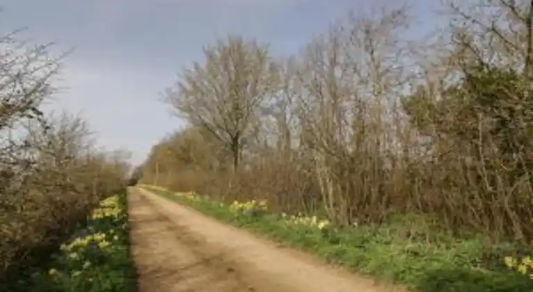 Holiday home in Cropredy