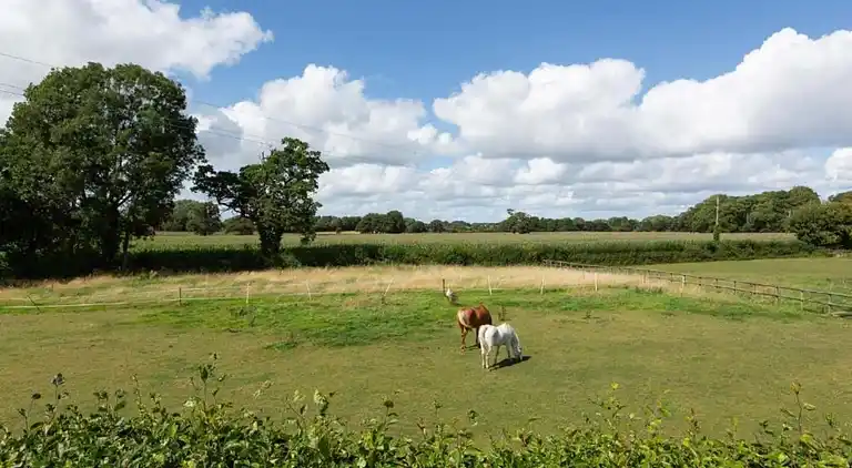 Cottage in Dorrington