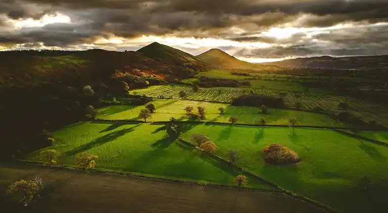 Cottage in Dorrington