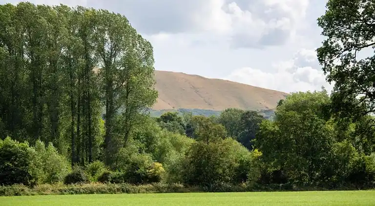 Cottage in Dorrington