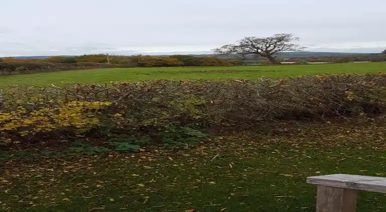 Cottage in Dorrington