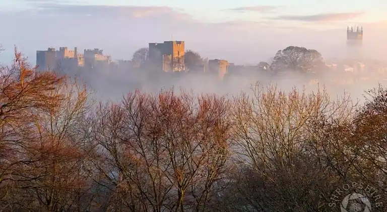 Cottage in Dorrington