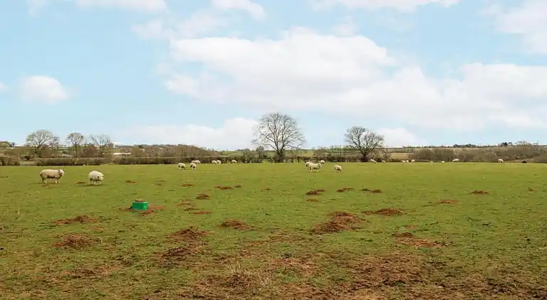 Holiday home in Cropredy