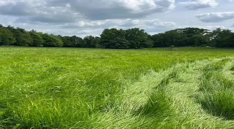 Holiday home in Cropredy