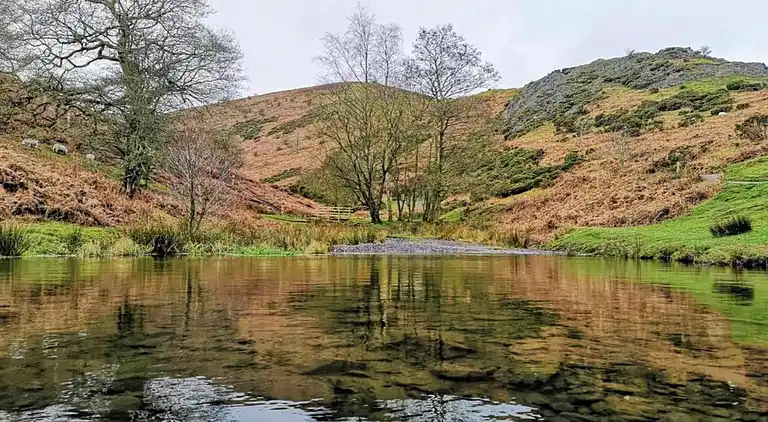 Cottage in Dorrington