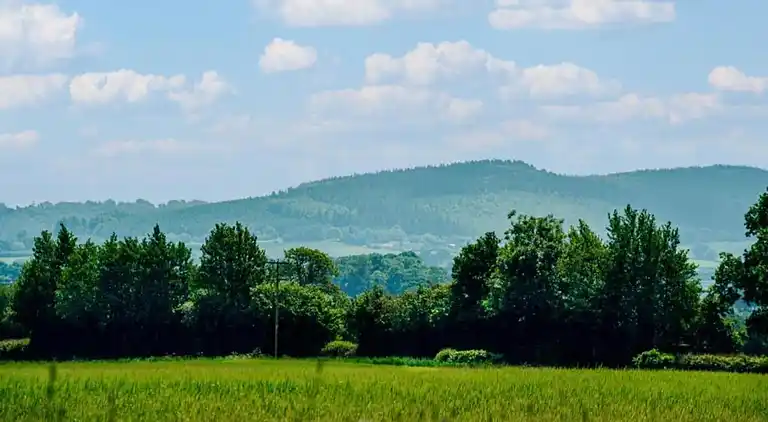Cottage in Dorrington
