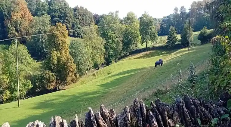 Holiday home in Cropredy
