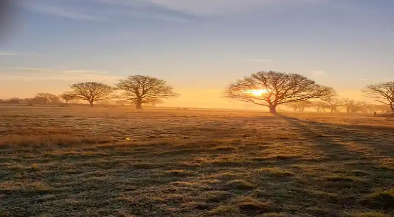 Cottage in Dorrington
