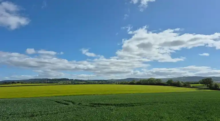 Apartment in Sutton-under-Whitestonecliffe