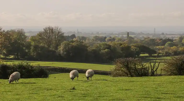 Apartment in Sutton-under-Whitestonecliffe