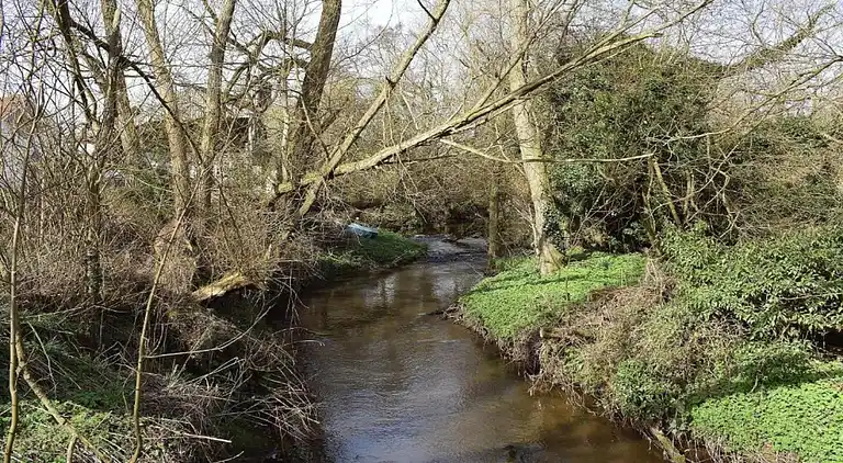 Apartment in Sutton-under-Whitestonecliffe