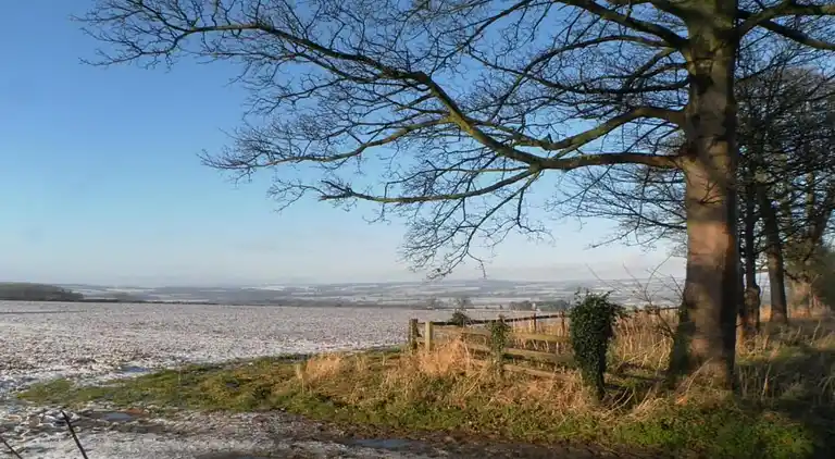 Apartment in Sutton-under-Whitestonecliffe