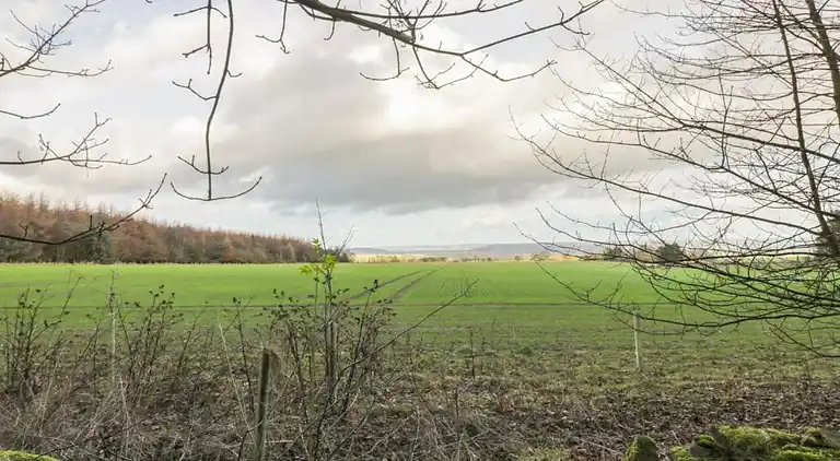 Apartment in Sutton-under-Whitestonecliffe