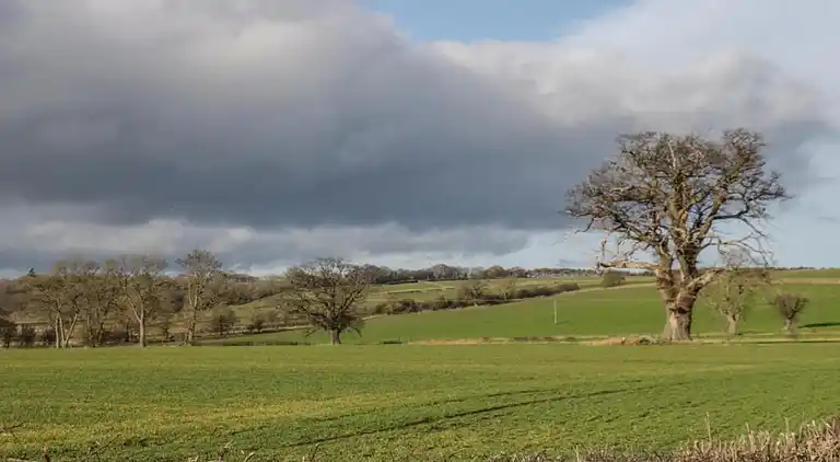 Apartment in Sutton-under-Whitestonecliffe