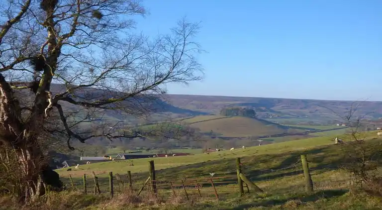 Apartment in Sutton-under-Whitestonecliffe