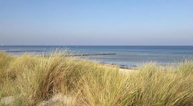 Sommerhus i Krusenhagen