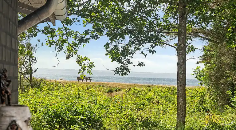 Ruhe, Natur, Schutz und Blick über den Fjord