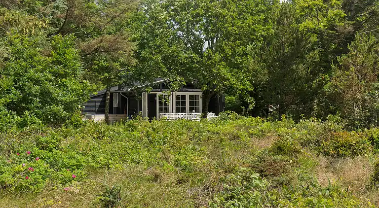 Ruhe, Natur, Schutz und Blick über den Fjord
