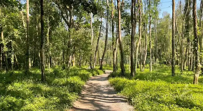 Holiday home in Chiddingstone Hoath