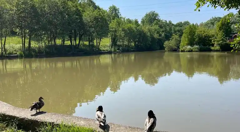 Holiday home in Chiddingstone Hoath