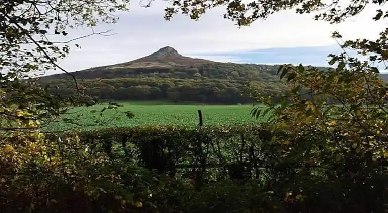 Cottage in Great Ayton
