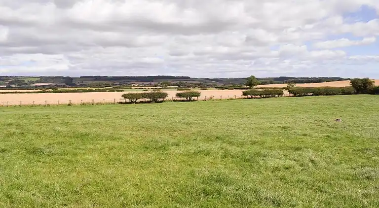 Cottage in Great Ayton