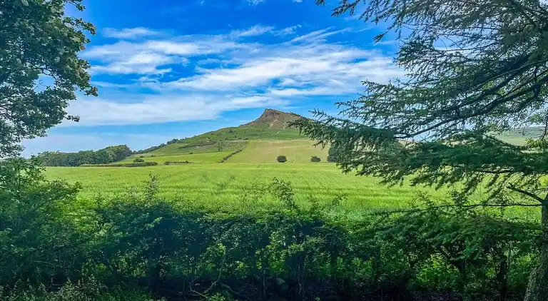 Cottage in Great Ayton