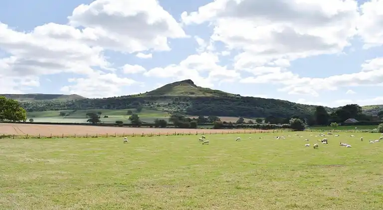 Cottage in Great Ayton