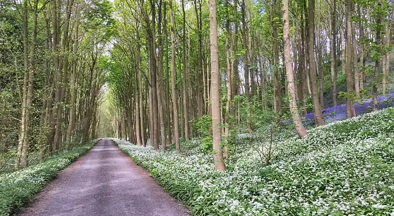 Cottage in Great Ayton