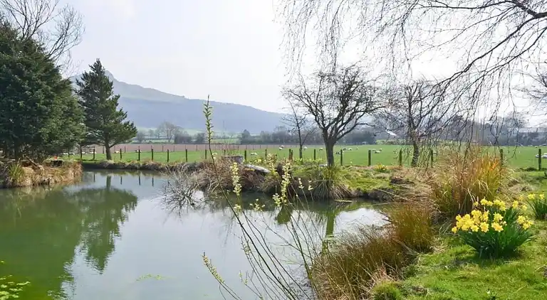 Cottage in Great Ayton