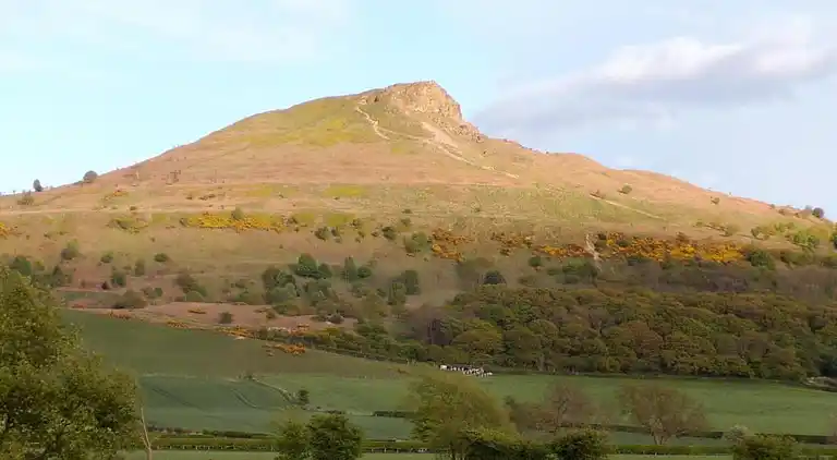Cottage in Great Ayton