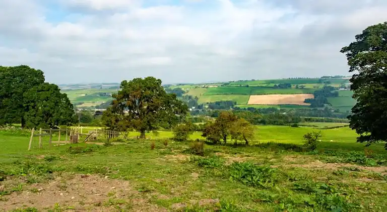 Cottage in Nilston Rigg