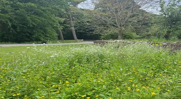 Cottage in Nilston Rigg