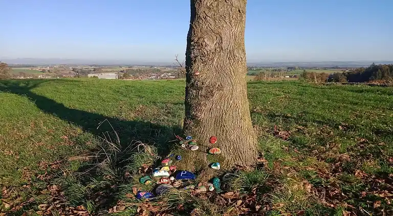 Apartment in Malching