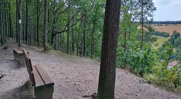 Ferienwohnung in Cotta